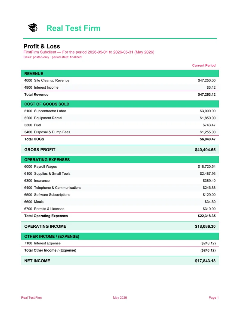 Profit & Loss sample deliverable preview
